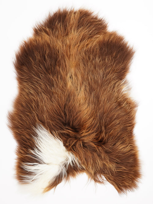 Peau de mouton islandaise XL