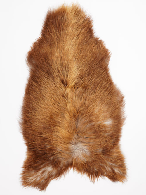Peau de mouton islandaise XXL