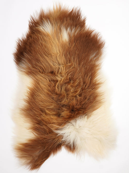 Peau de mouton islandaise XL