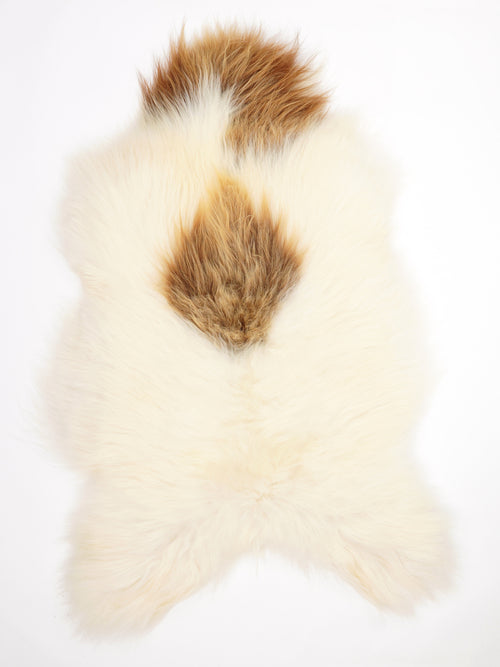 Peau de mouton islandaise XXL