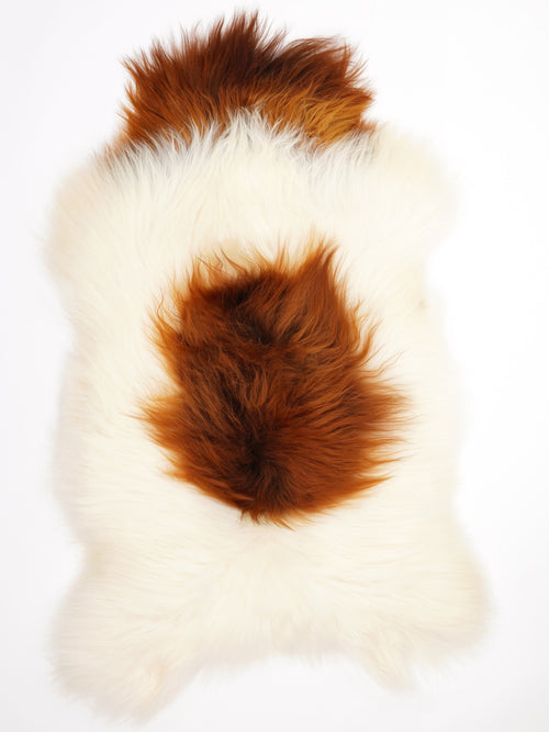 Peau de mouton islandaise XXL