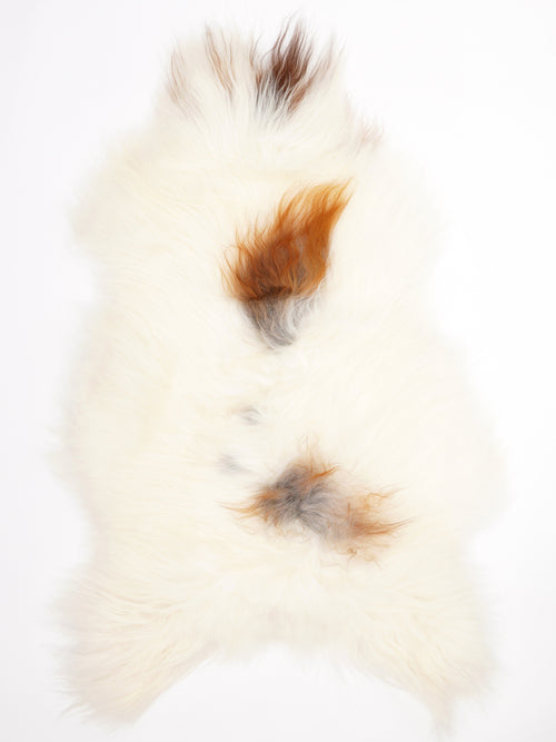 Peau de mouton islandaise XL