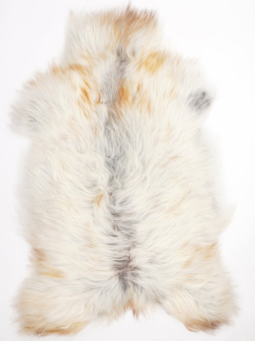 Peau de mouton islandaise XXL