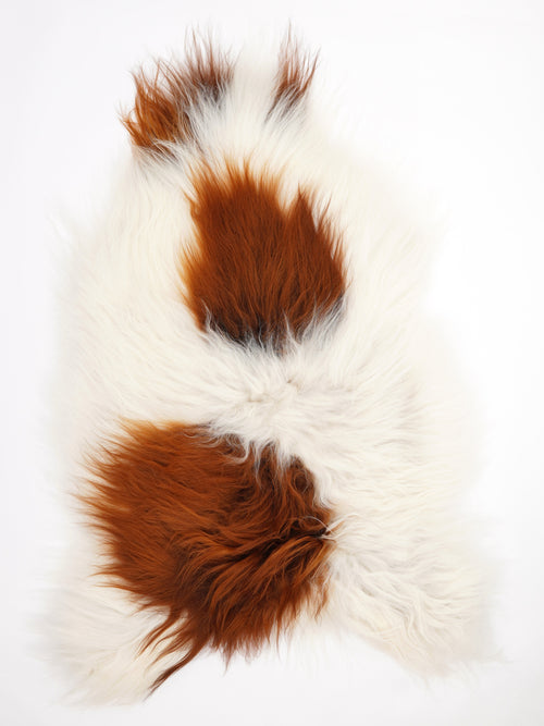 Peau de mouton islandaise XXL