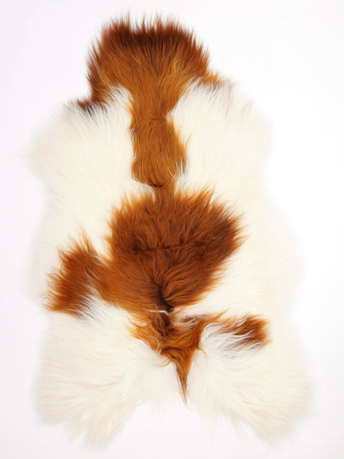 Peau de mouton islandaise XXL