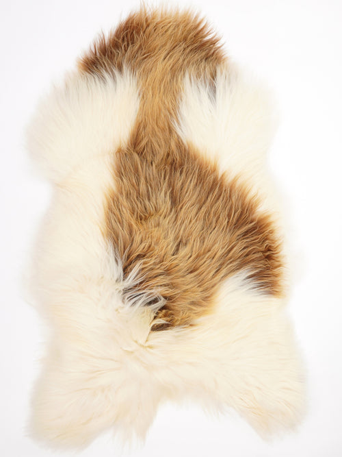 Peau de mouton islandaise XXL