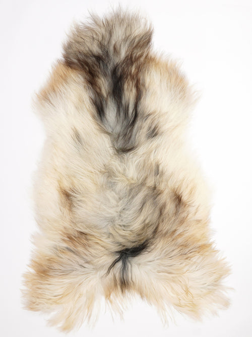 Peau de mouton islandaise XXL