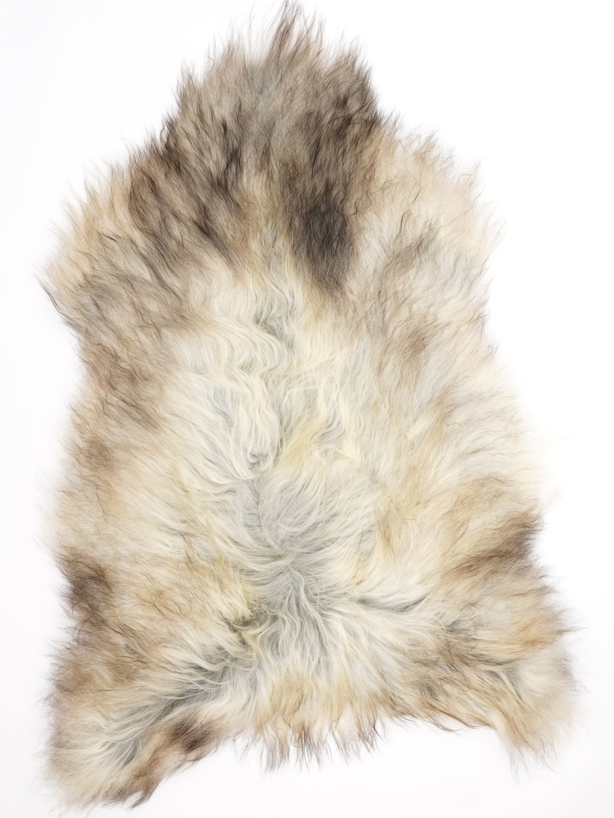 Peau de mouton islandaise XXL