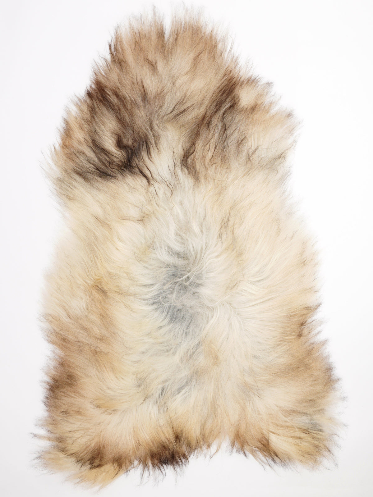Peau de mouton islandaise XXL