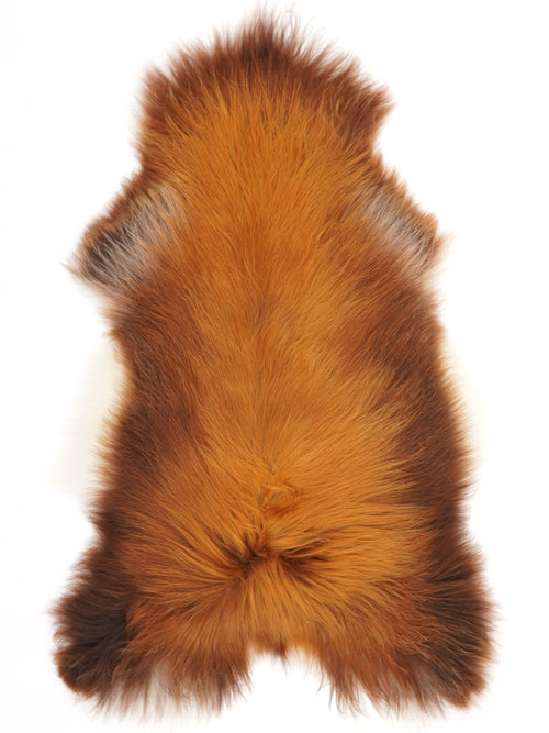 Peau de mouton islandaise XL