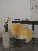 Peau de mouton médicinale à poils longs