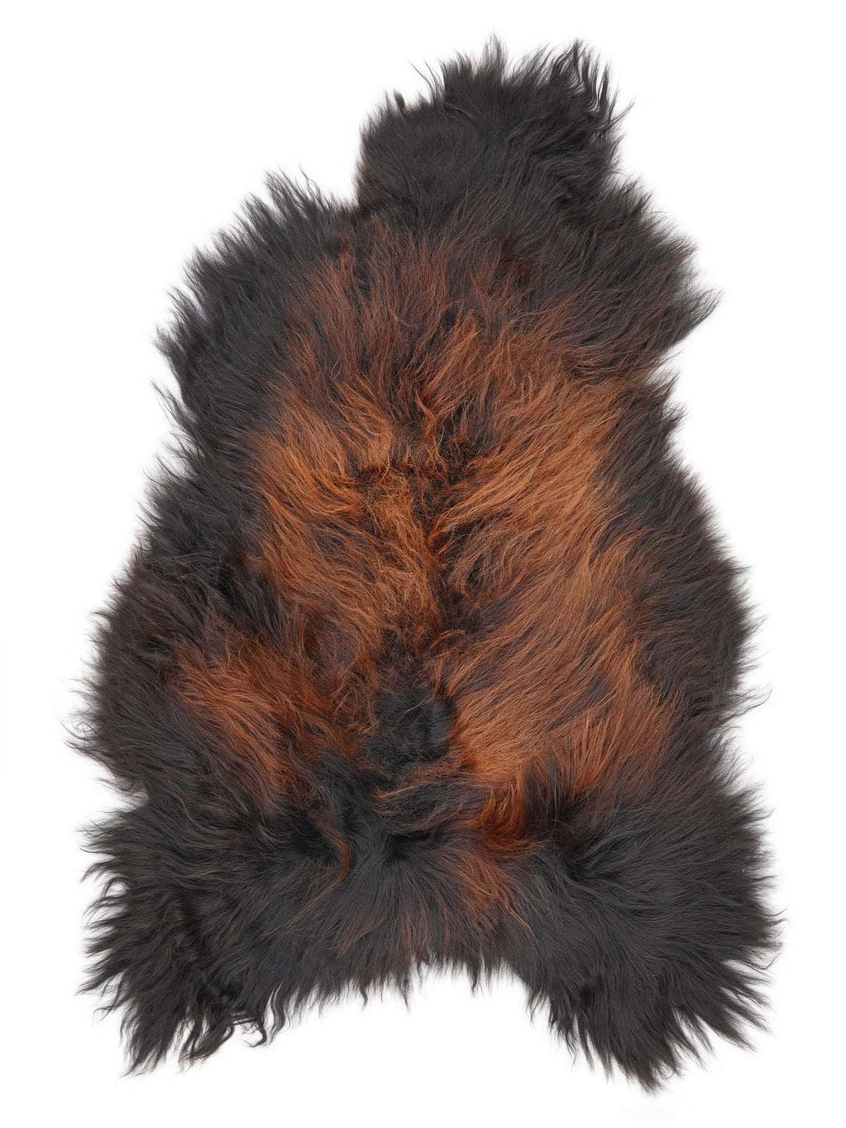 Peau de mouton islandaise XL