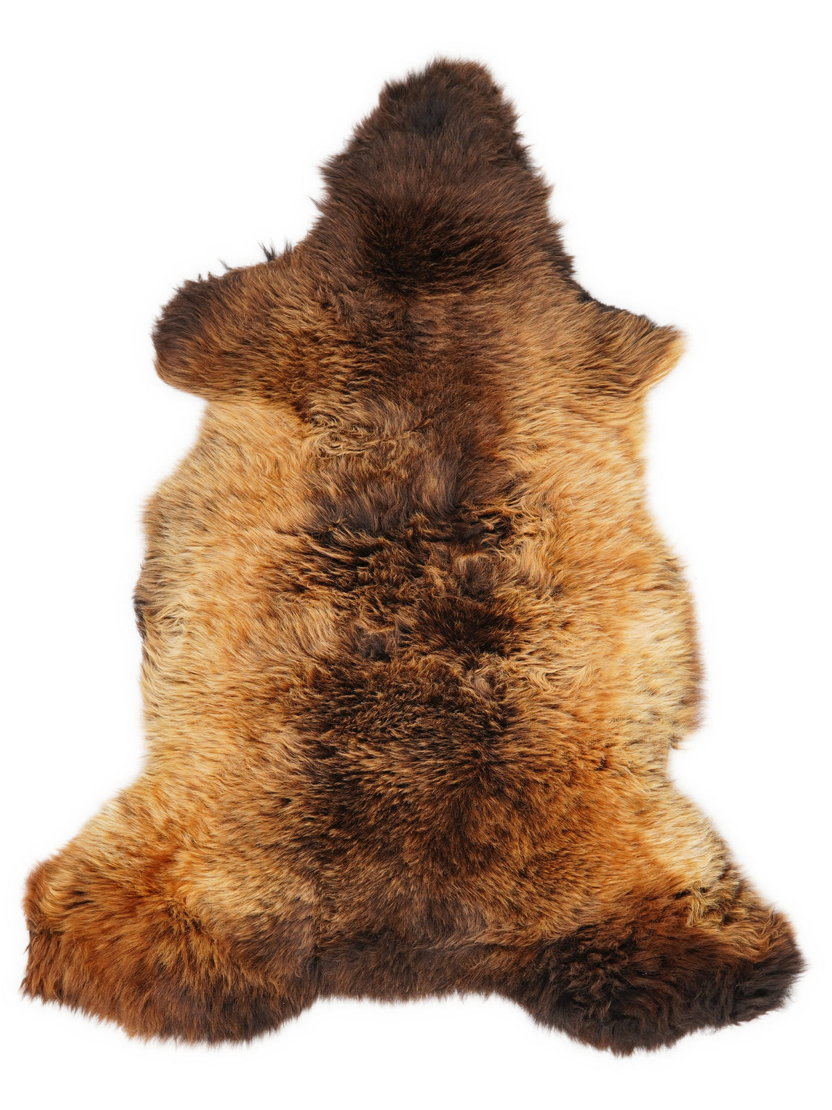 Peau de mouton multicolore britannique d’environ 110 × 60 cm, vue de dessus : exactement la peau que vous recevez