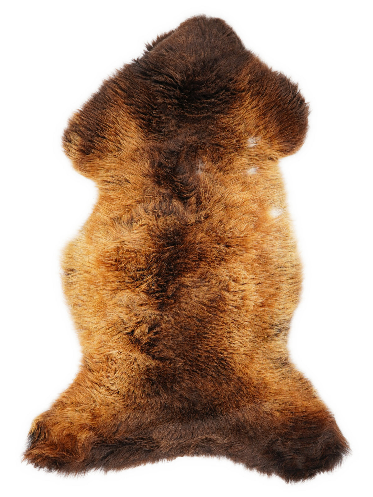 Peau de mouton multicolore britannique d’environ 110 × 55 cm, vue de dessus : exactement la peau que vous recevez