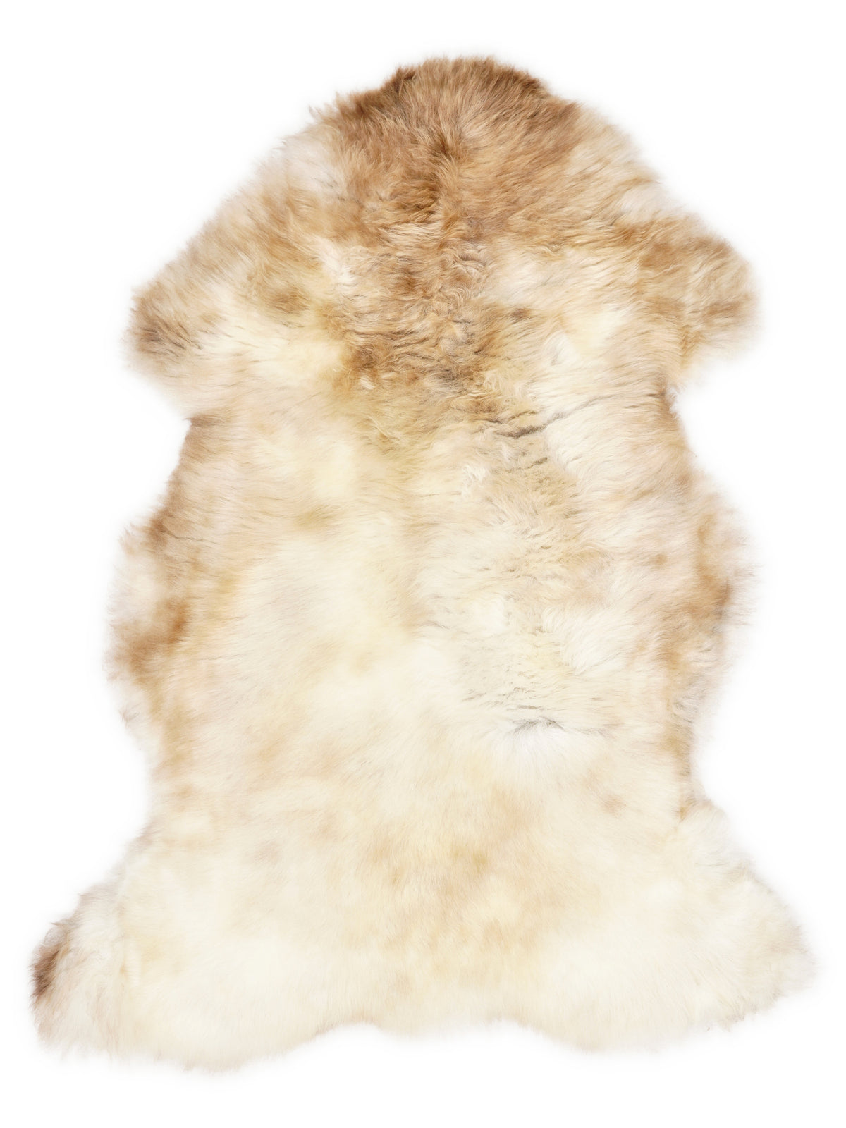 Peau de mouton multicolore britannique d’environ 110 × 70 cm, vue de dessus : exactement la peau que vous recevez