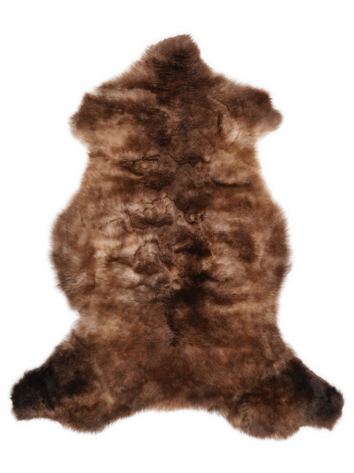 Peau de mouton multicolore britannique d’environ 110 × 60 cm, vue de dessus : exactement la peau que vous recevez