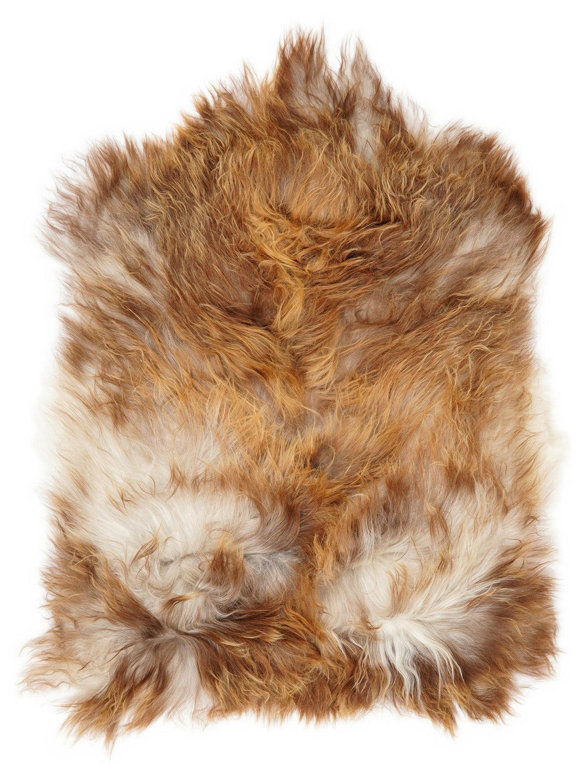 Peau de mouton islandaise multicolore d’environ 100 × 70 cm, vue de dessus : exactement la peau que vous recevez