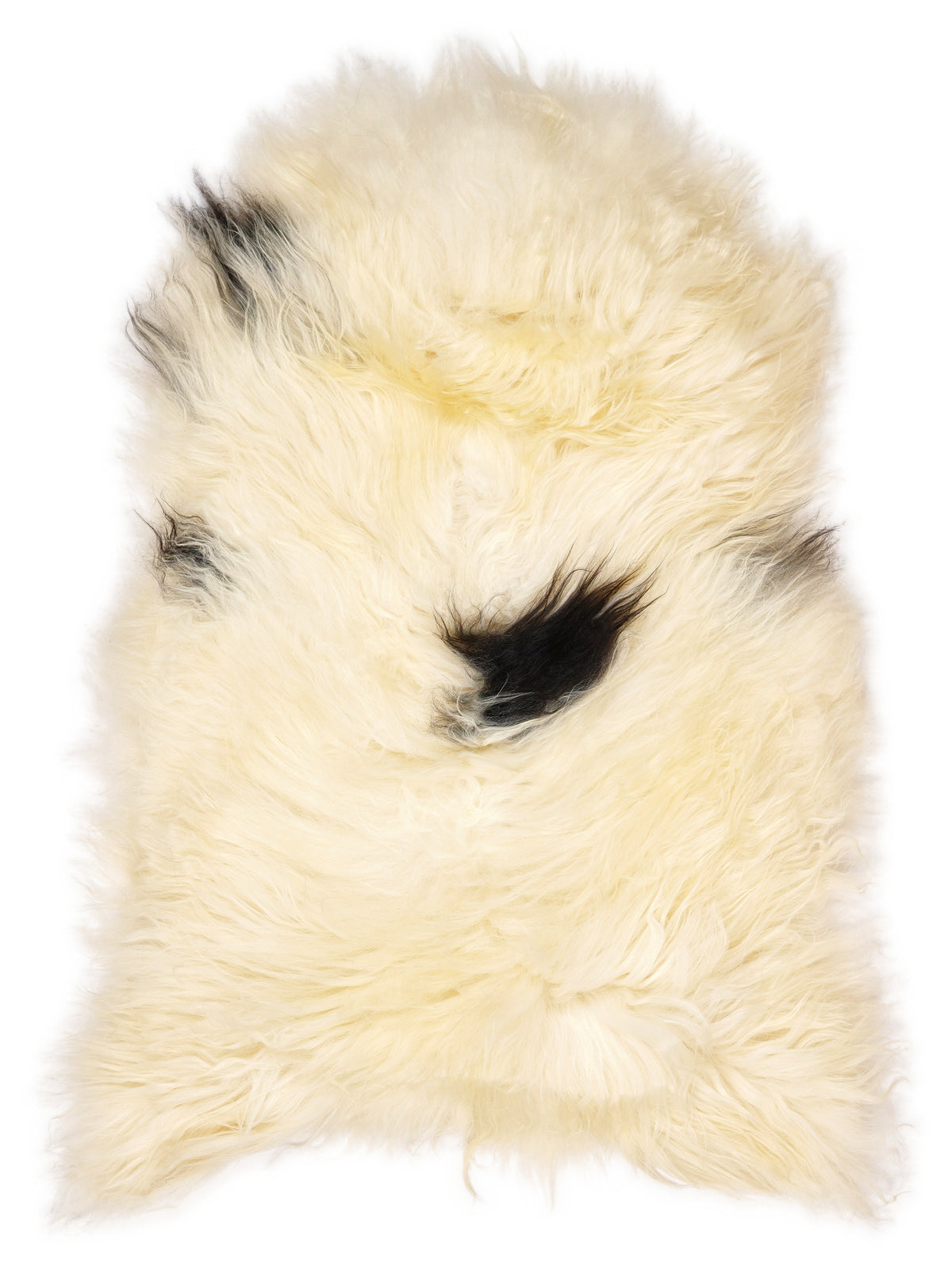 Peau de mouton islandaise multicolore d’environ 120 × 70 cm, vue de dessus : exactement la peau que vous recevez