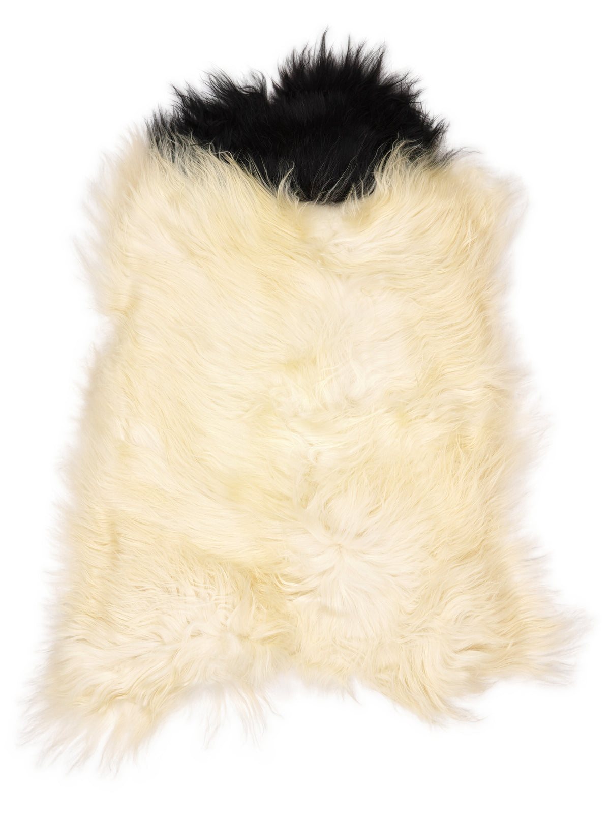 Peau de mouton islandaise multicolore d’environ 110 × 70 cm, vue de dessus : exactement la peau que vous recevez