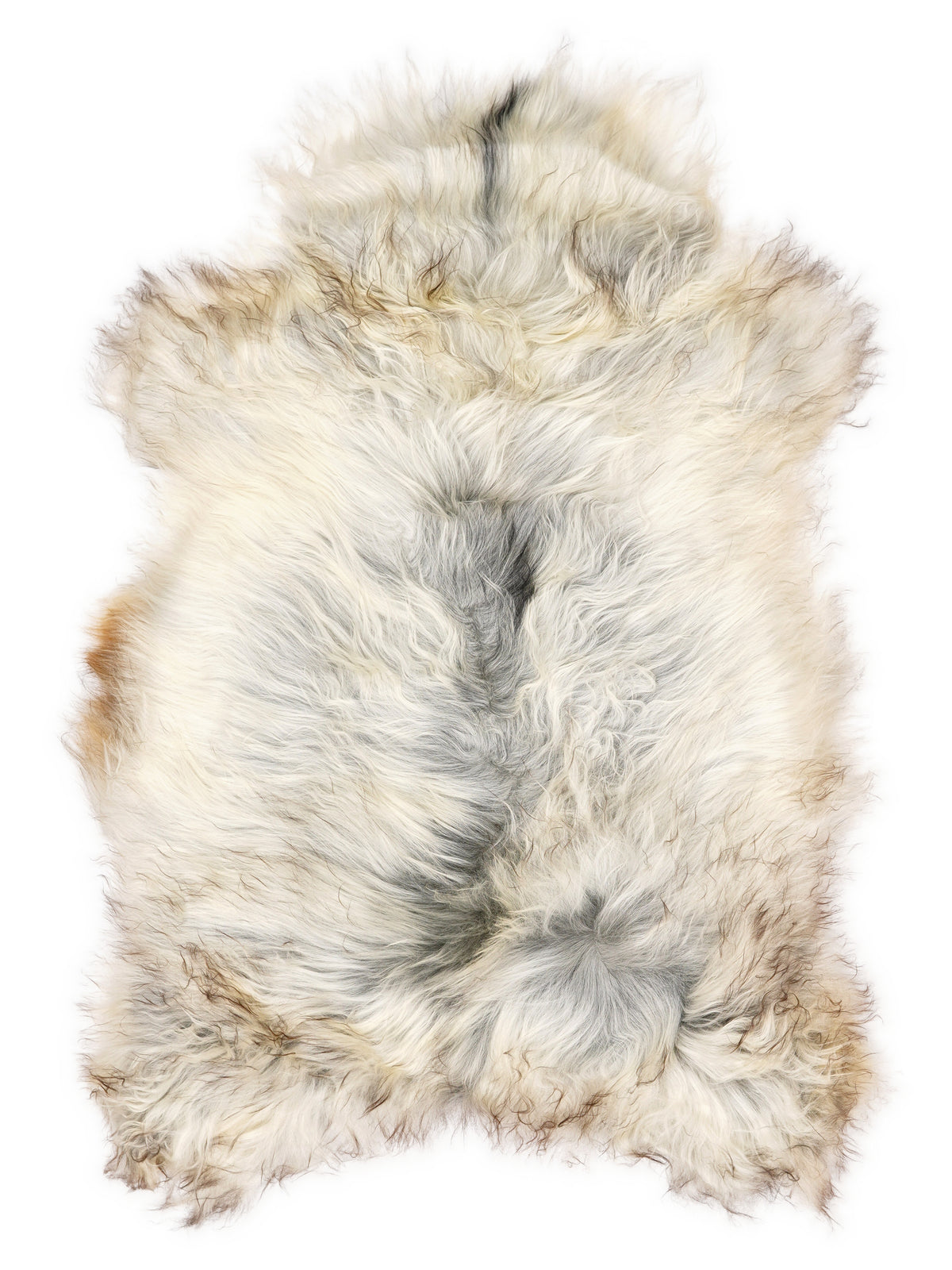 Peau de mouton islandaise grise d’environ 110 × 70 cm, vue de dessus : exactement la peau que vous recevez