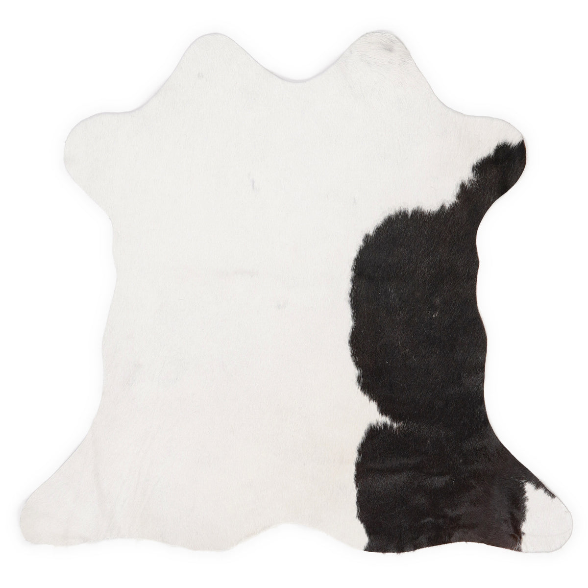 Mini peau de vache d’environ 70 × 70 cm, vue de dessus : exactement la peau que vous recevez