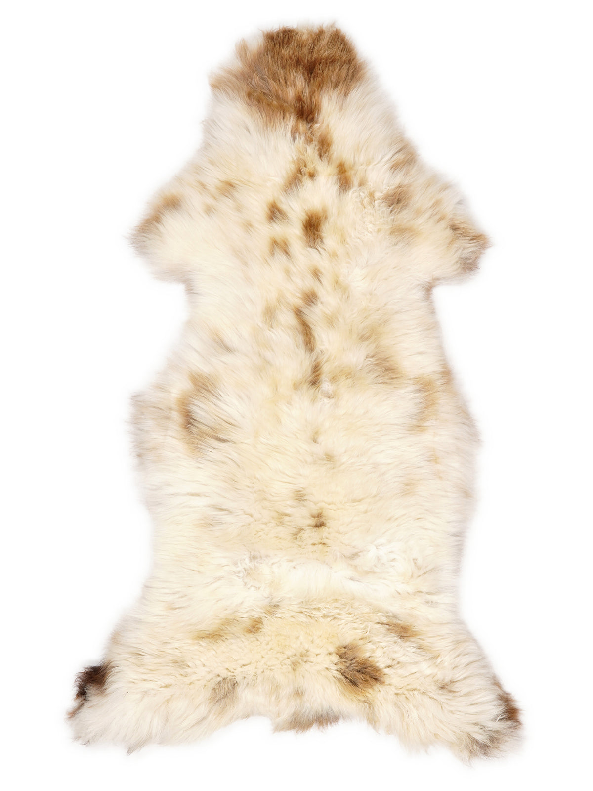 Peau de mouton multicolore britannique d’environ 130 × 55 cm, vue de dessus : exactement la peau que vous recevez