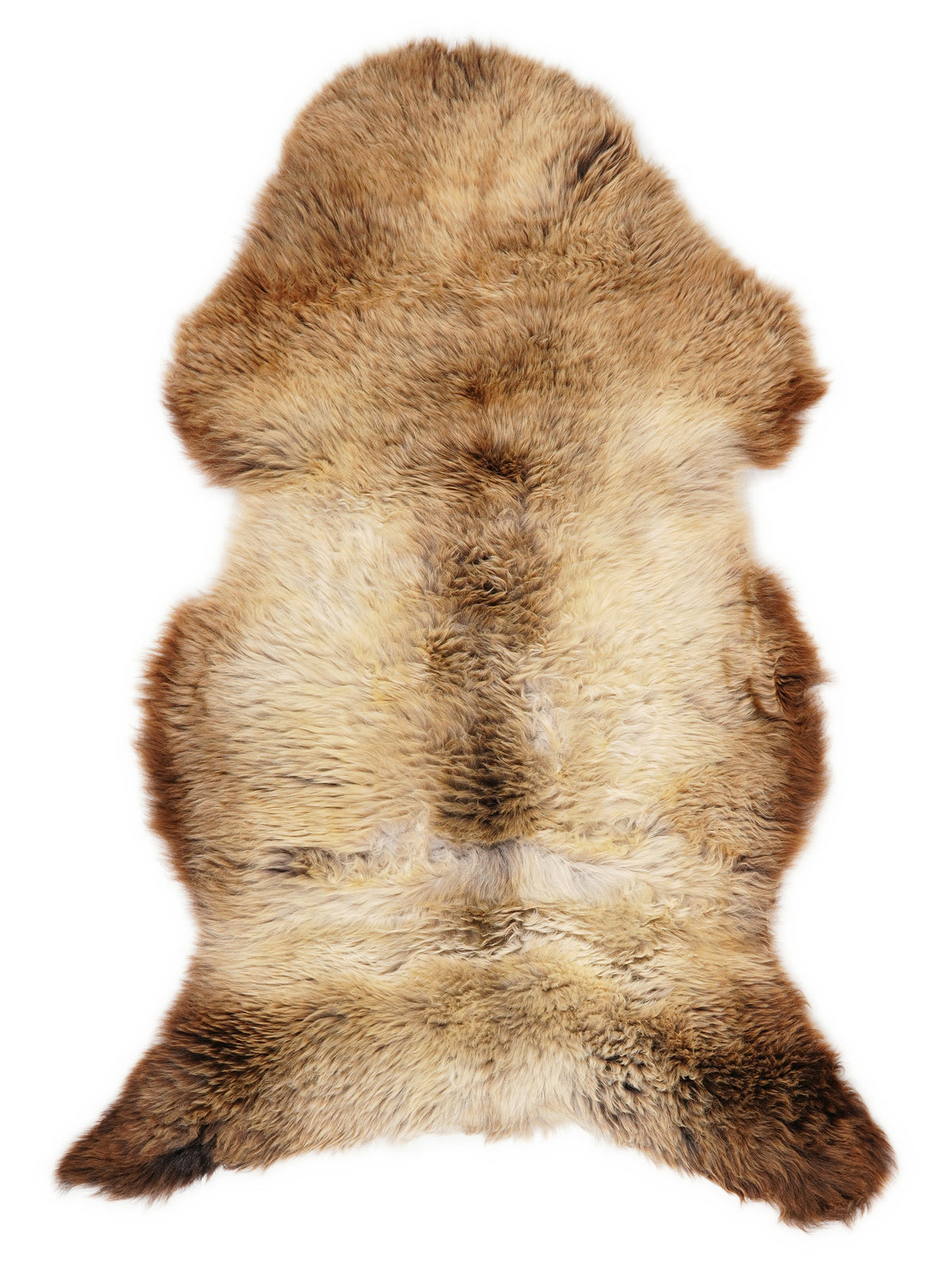 Peau de mouton multicolore britannique d’environ 120 × 65 cm, vue de dessus : exactement la peau que vous recevez