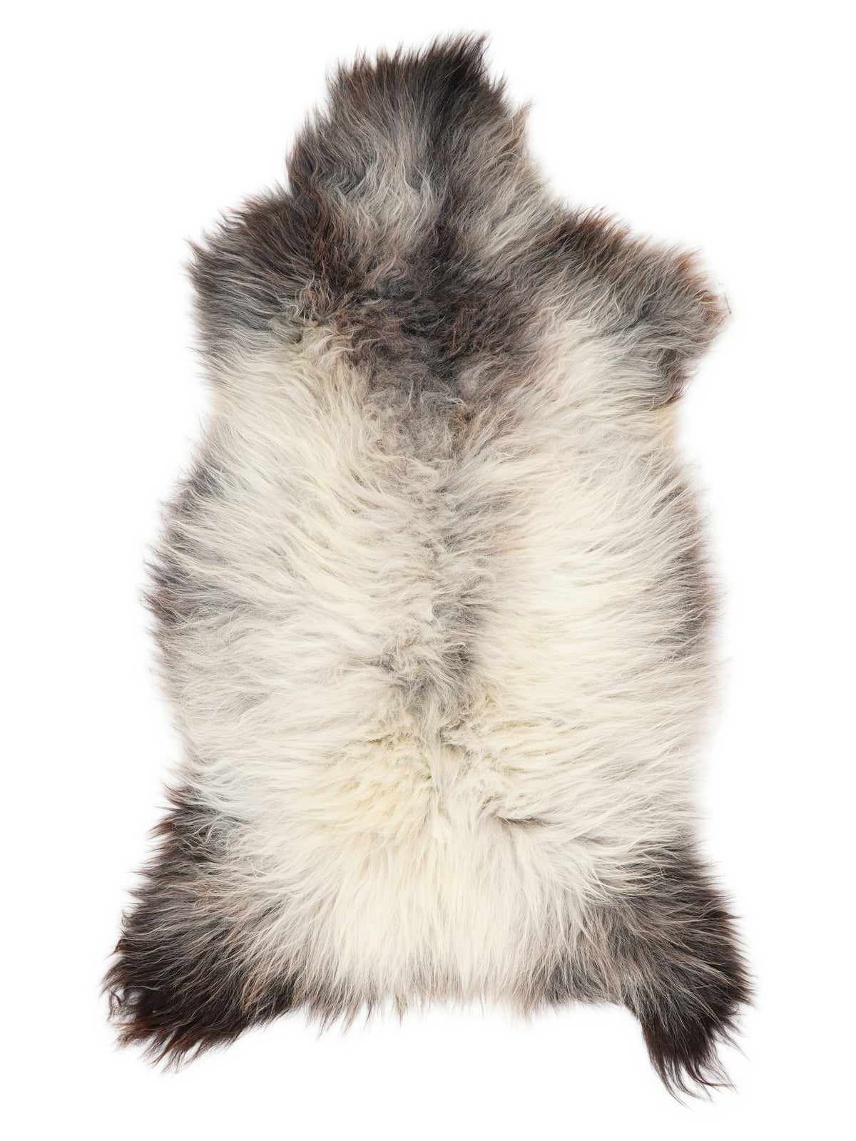 Peau de mouton multicolore britannique d’environ 130 × 65 cm, vue de dessus : exactement la peau que vous recevez