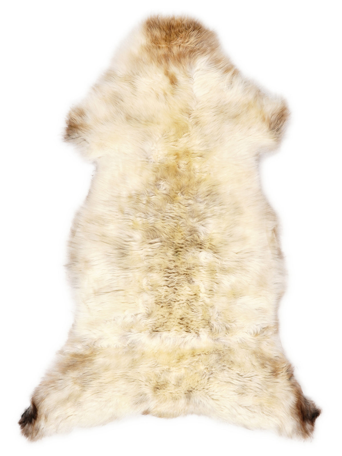 Peau de mouton multicolore britannique d’environ 120 × 55 cm, vue de dessus : exactement la peau que vous recevez