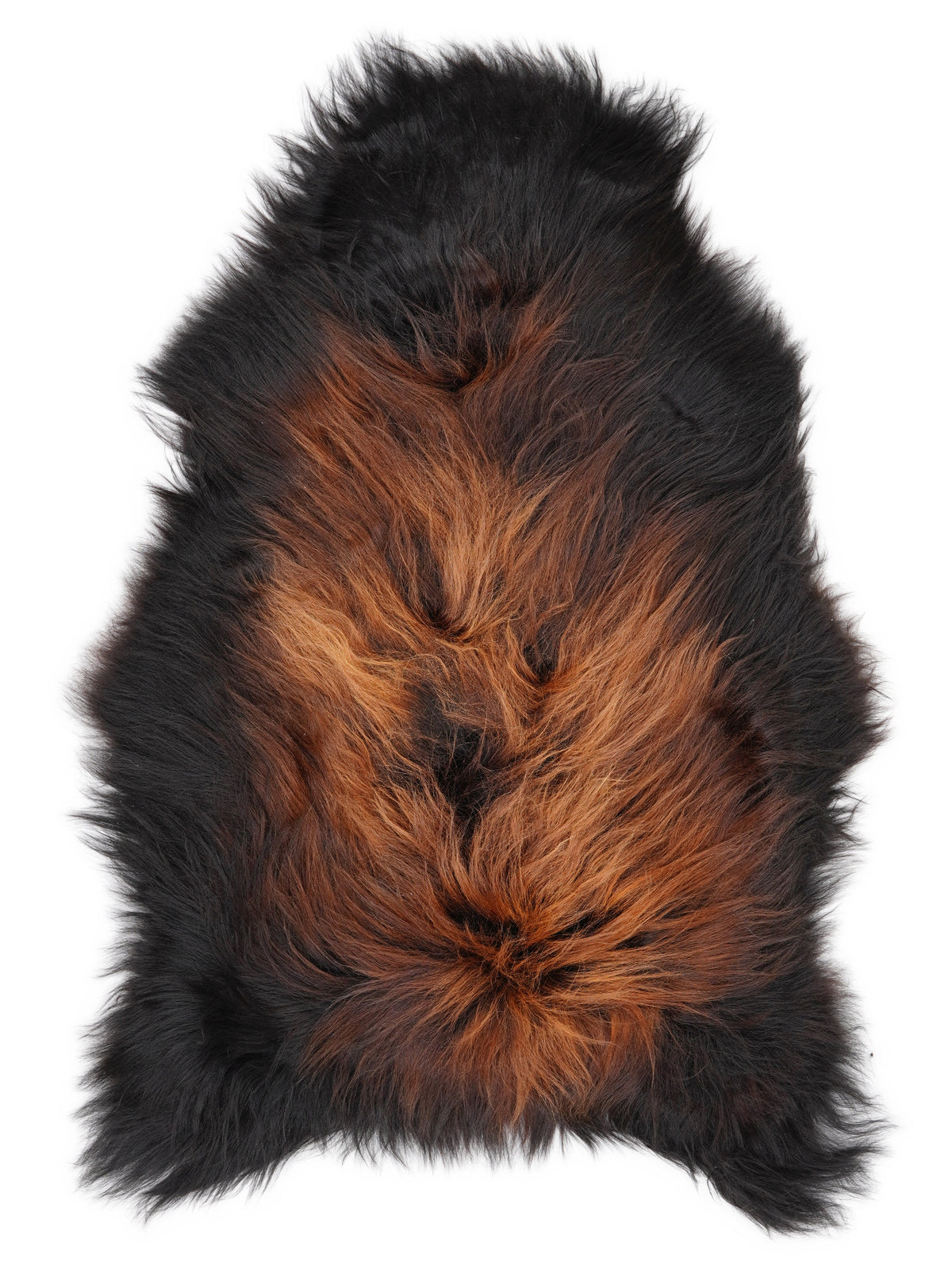 Peau de mouton islandaise multicolore d’environ 120 × 75 cm, vue de dessus : exactement la peau que vous recevez