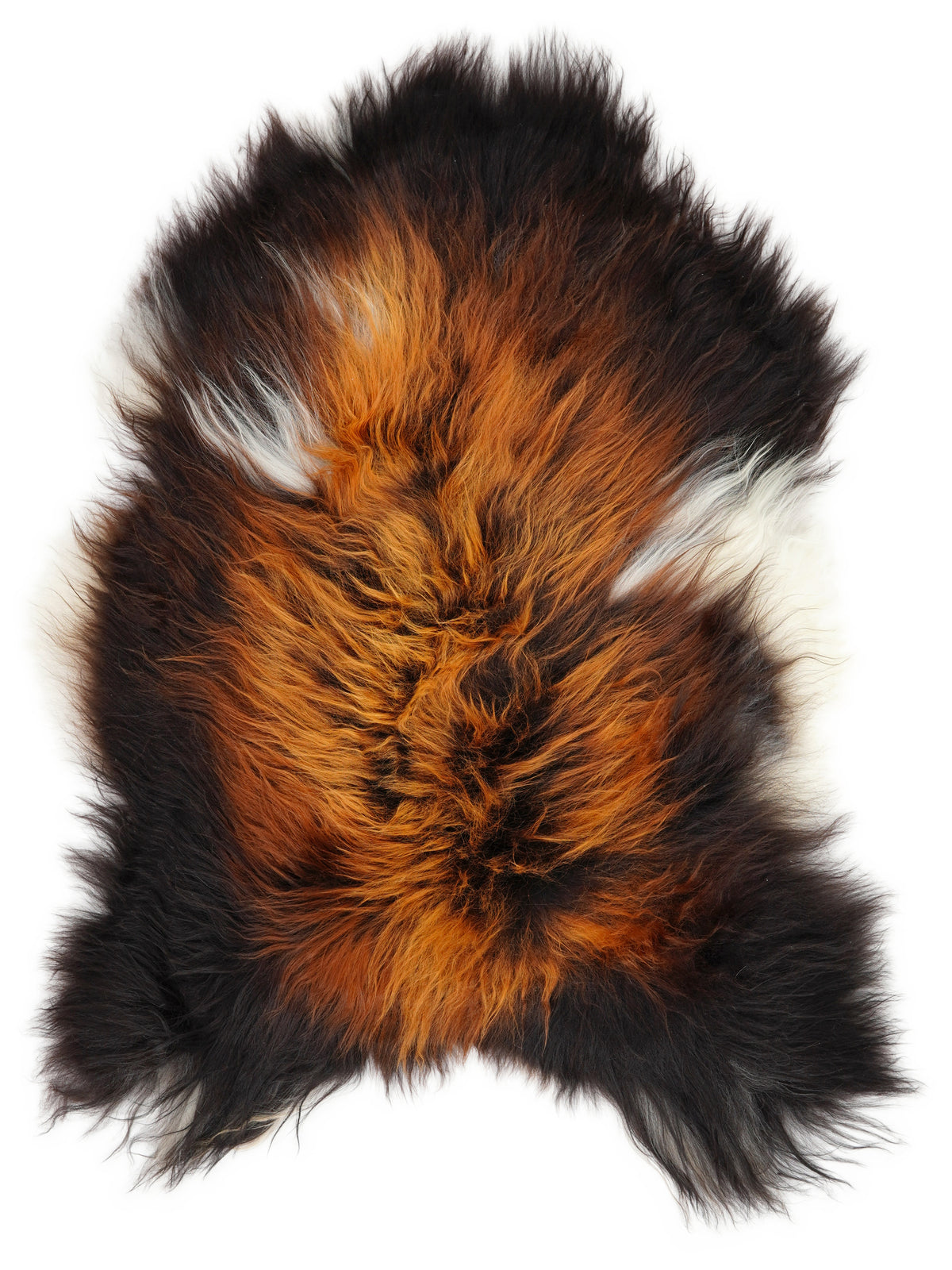 Peau de mouton islandaise multicolore d’environ 120 × 85 cm, vue de dessus : exactement la peau que vous recevez