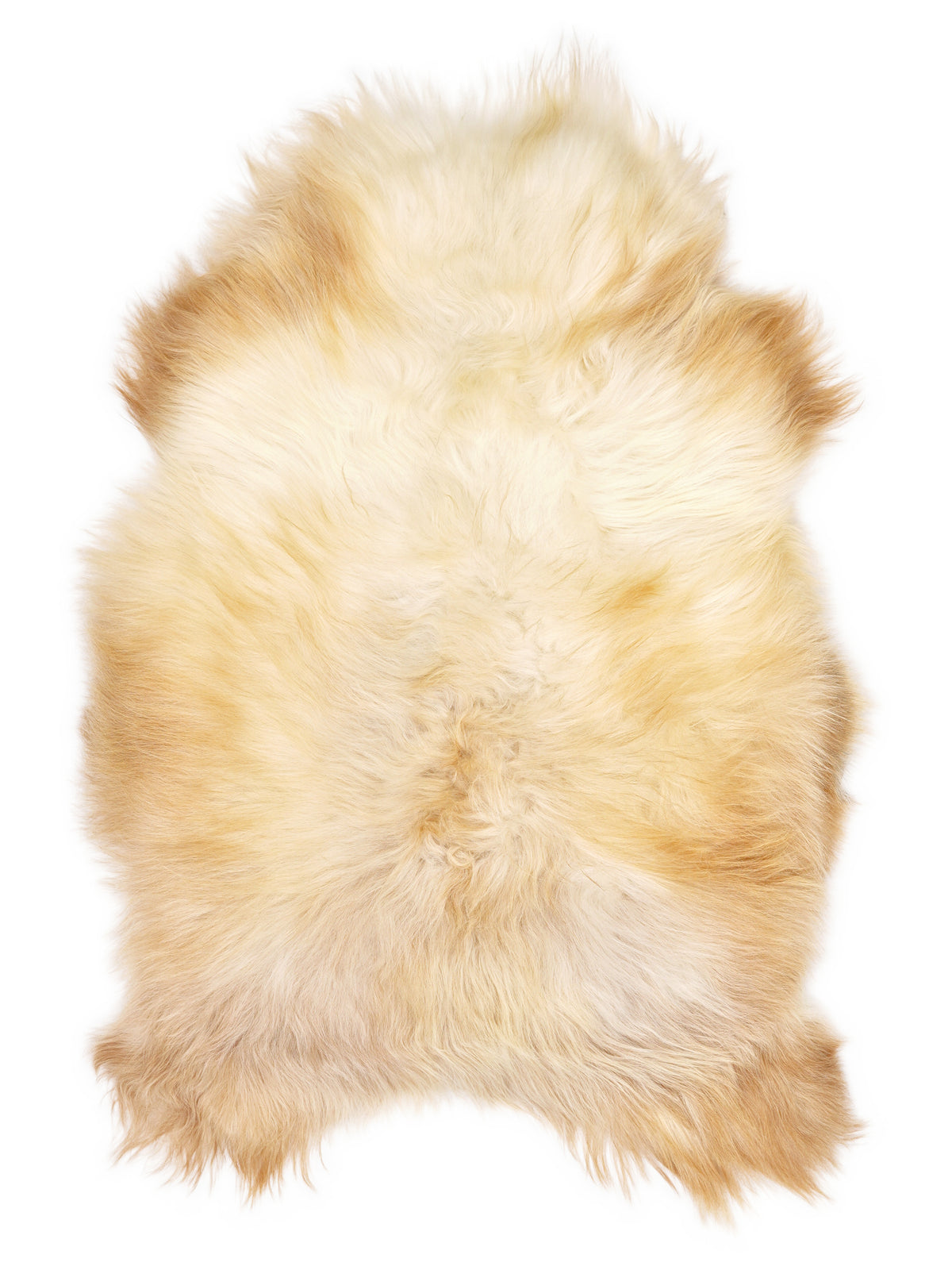 Peau de mouton islandaise multicolore d’environ 110 × 70 cm, vue de dessus : exactement la peau que vous recevez