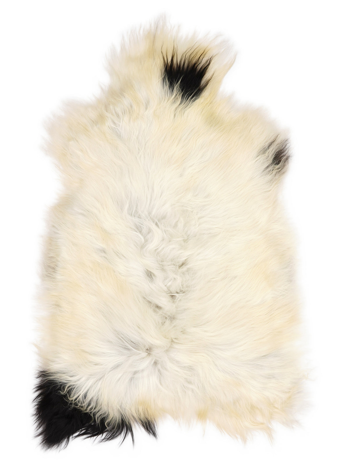 Peau de mouton islandaise multicolore d’environ 110 × 70 cm, vue de dessus : exactement la peau que vous recevez