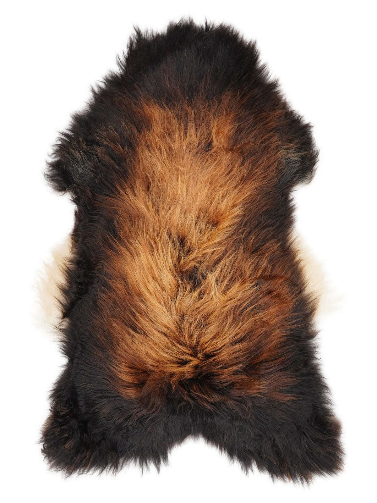 Peau de mouton islandaise multicolore d’environ 120 × 70 cm, vue de dessus : exactement la peau que vous recevez