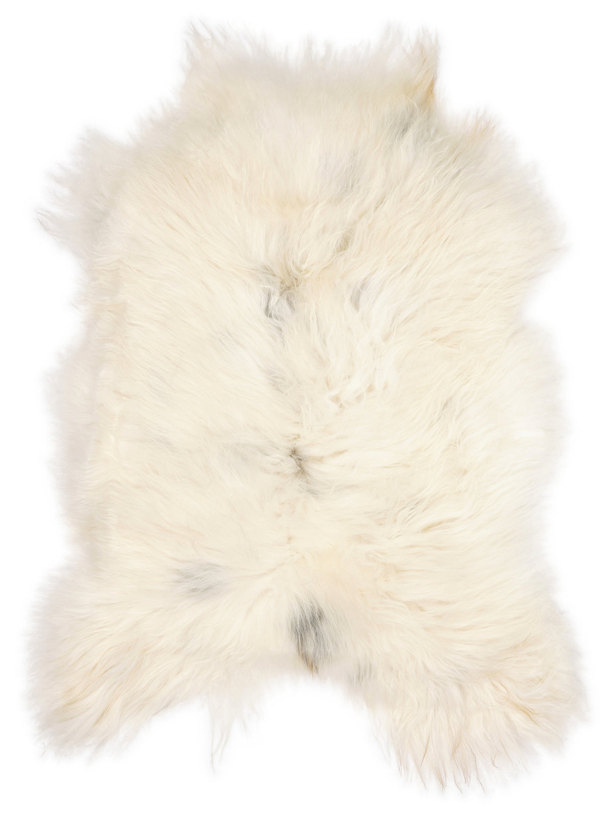 Peau de mouton islandaise multicolore d’environ 110 × 80 cm, vue de dessus : exactement la peau que vous recevez