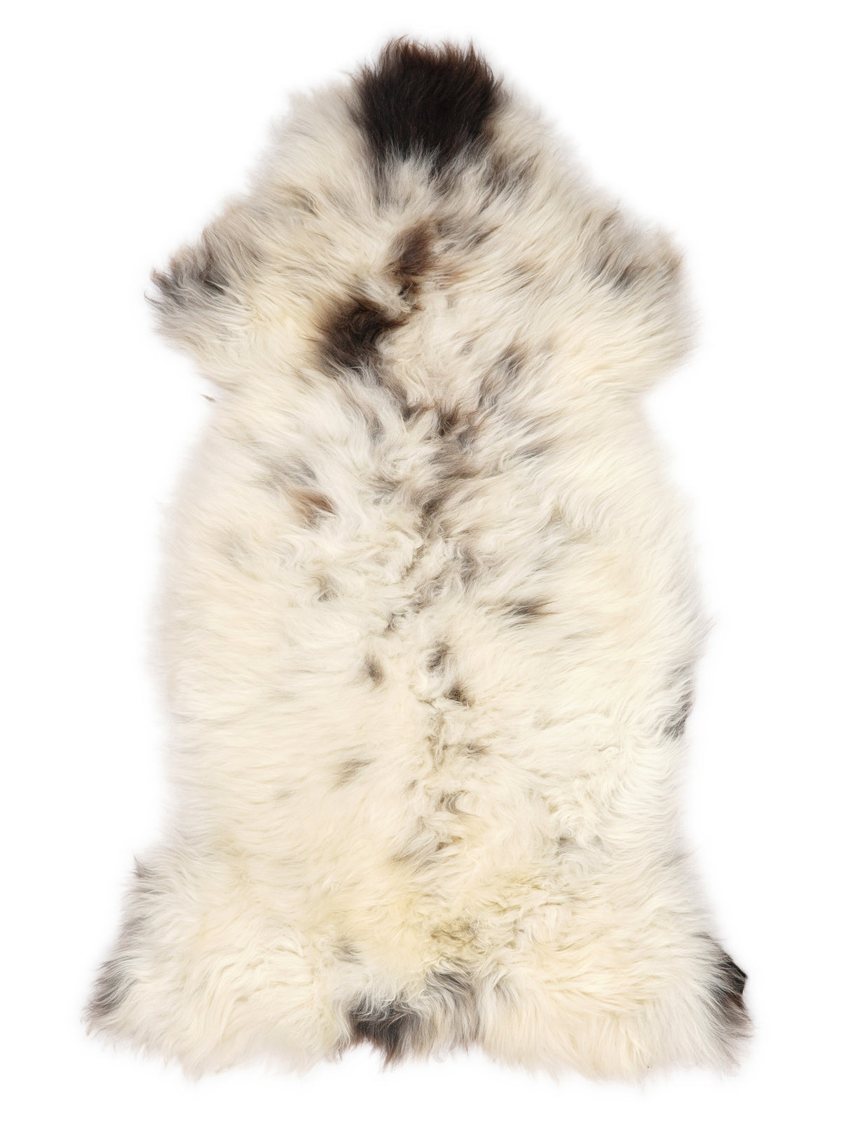 Peau de mouton multicolore britannique d’environ 125 × 65 cm, vue de dessus : exactement la peau que vous recevez