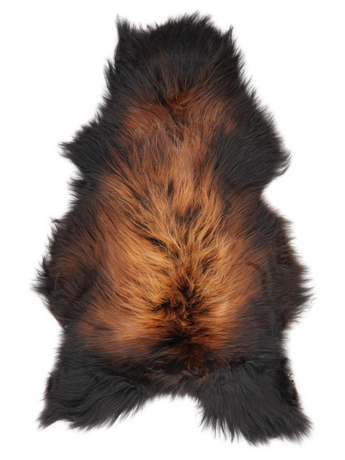 Peau de mouton islandaise multicolore d’environ 120 × 70 cm, vue de dessus : exactement la peau que vous recevez