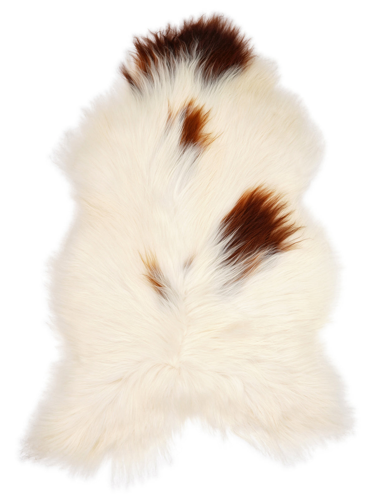 Peau de mouton islandaise multicolore d’environ 140 × 85 cm, vue de dessus : exactement la peau que vous recevez