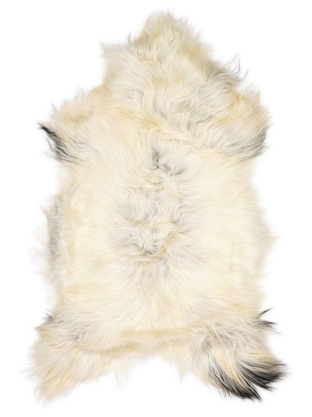 Peau de mouton islandaise multicolore d’environ 130 × 70 cm, vue de dessus : exactement la peau que vous recevez