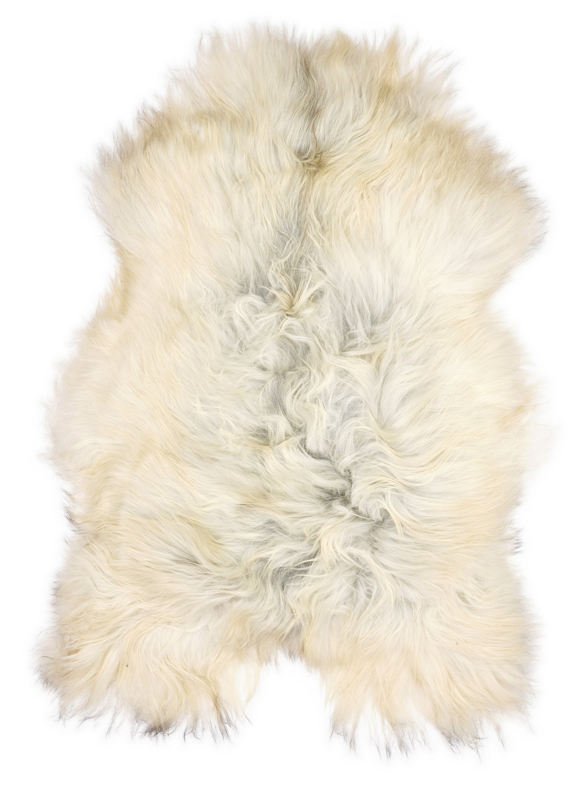 Peau de mouton islandaise multicolore d’environ 120 × 80 cm, vue de dessus : exactement la peau que vous recevez