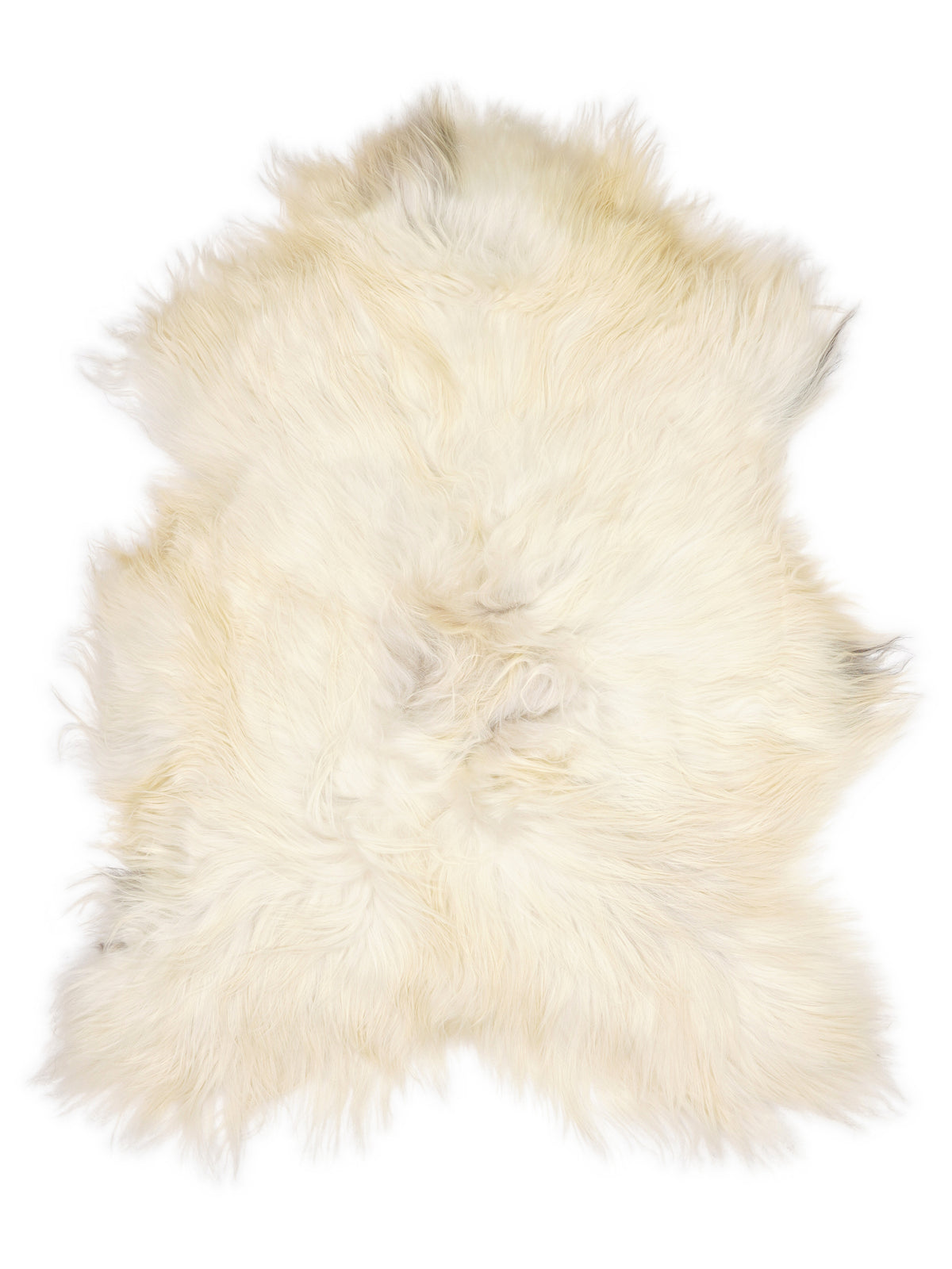 Peau de mouton islandaise multicolore d’environ 120 × 90 cm, vue de dessus : exactement la peau que vous recevez