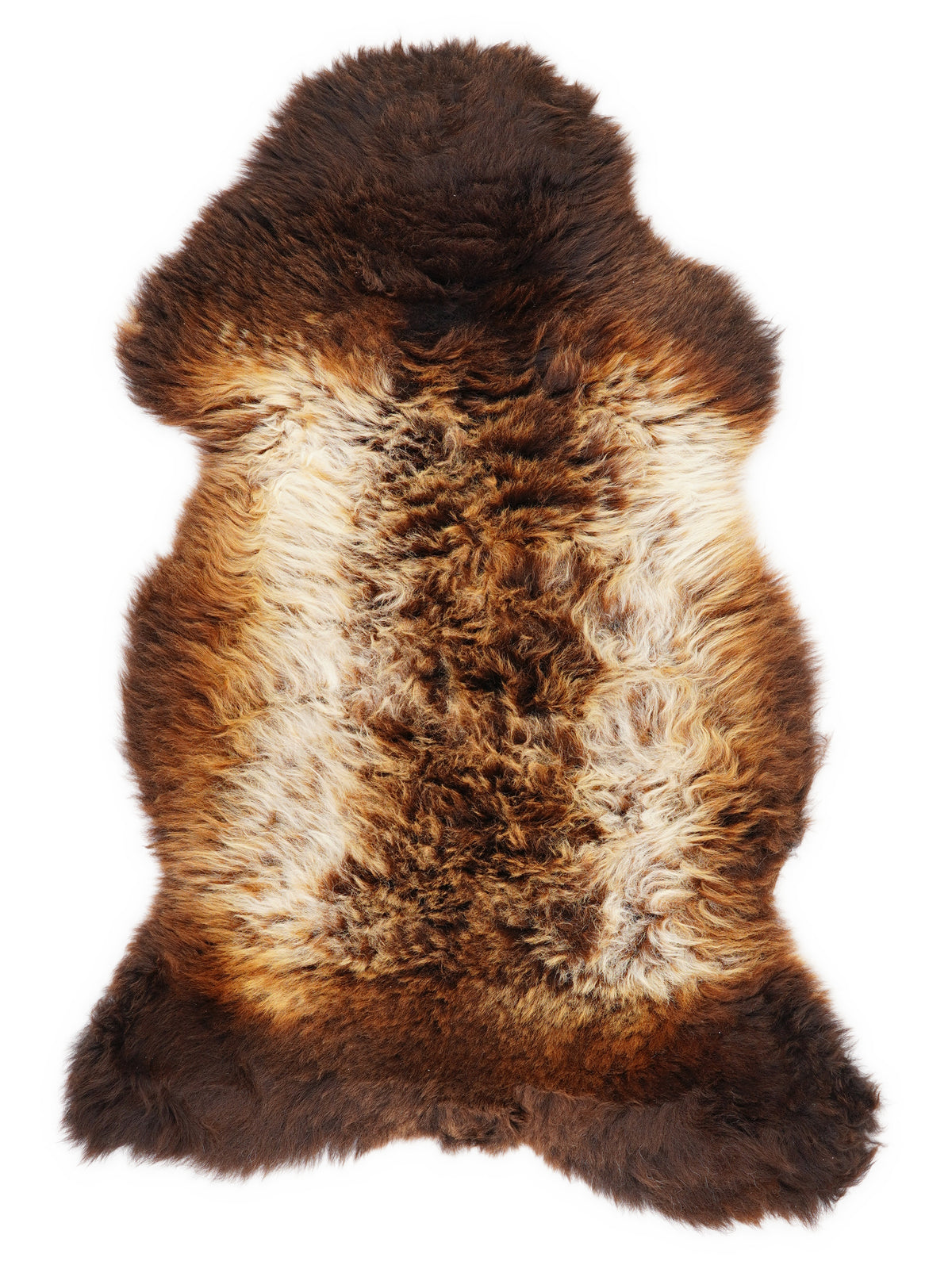 Peau de mouton multicolore britannique d’environ 110 × 60 cm, vue de dessus : exactement la peau que vous recevez