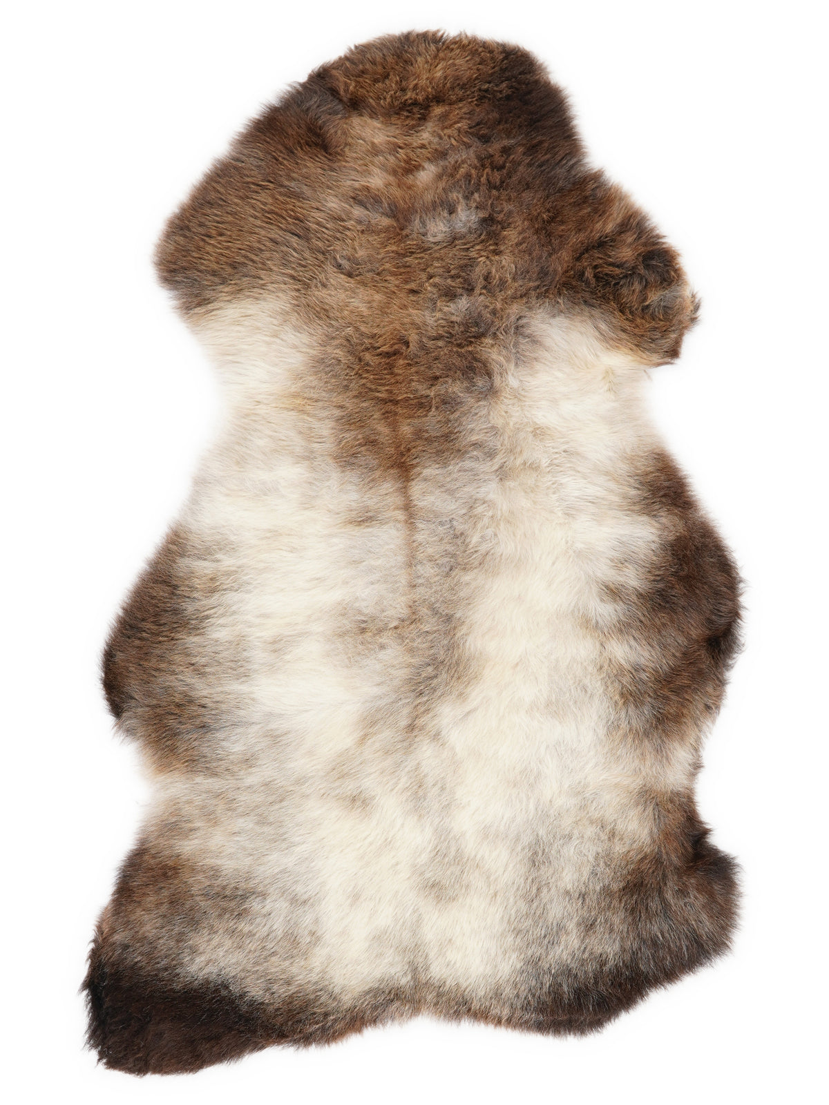 Peau de mouton multicolore britannique d’environ 100 × 60 cm, vue de dessus : exactement la peau que vous recevez