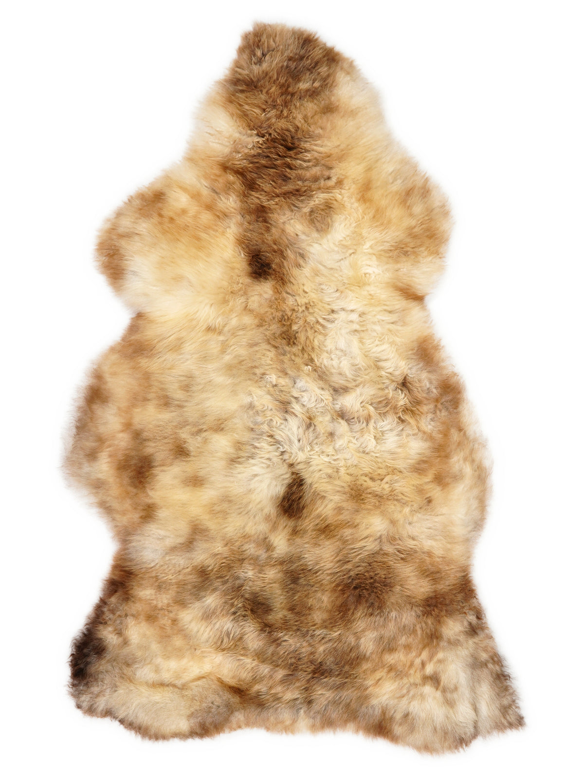 Peau de mouton multicolore britannique d’environ 120 × 65 cm, vue de dessus : exactement la peau que vous recevez