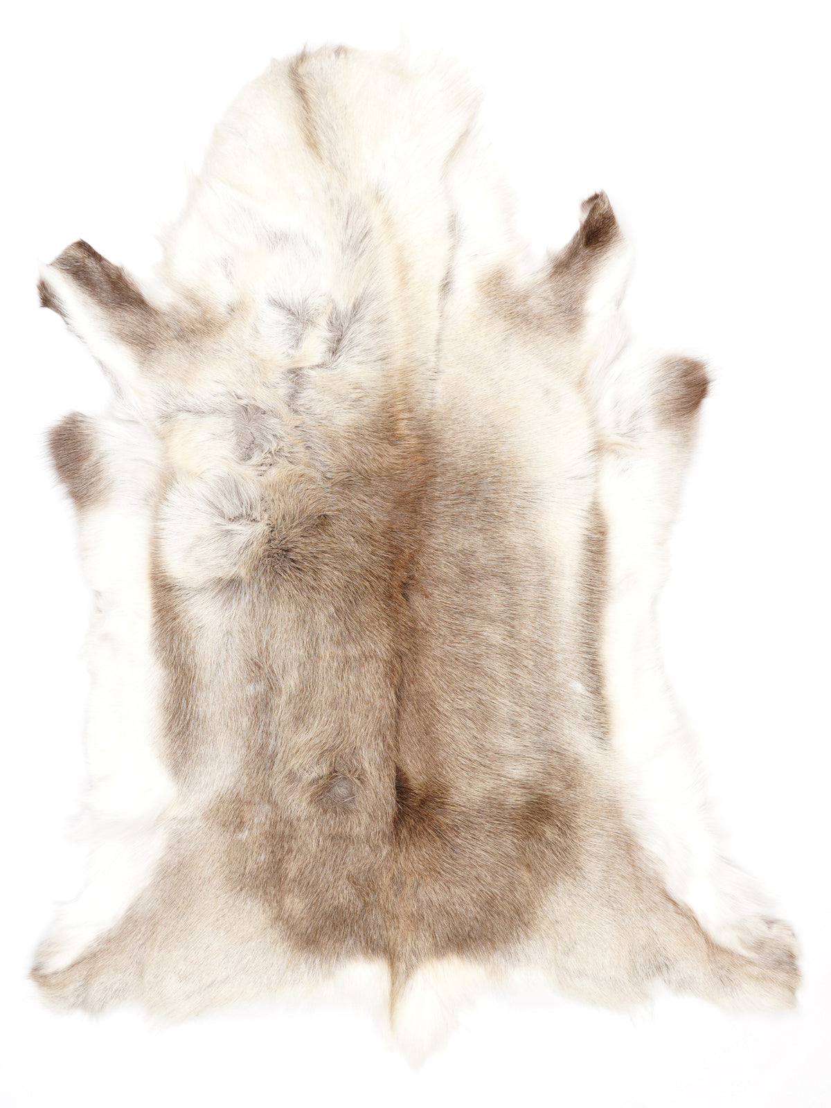 ND00063