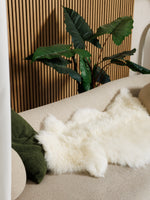 Peau de mouton blanche