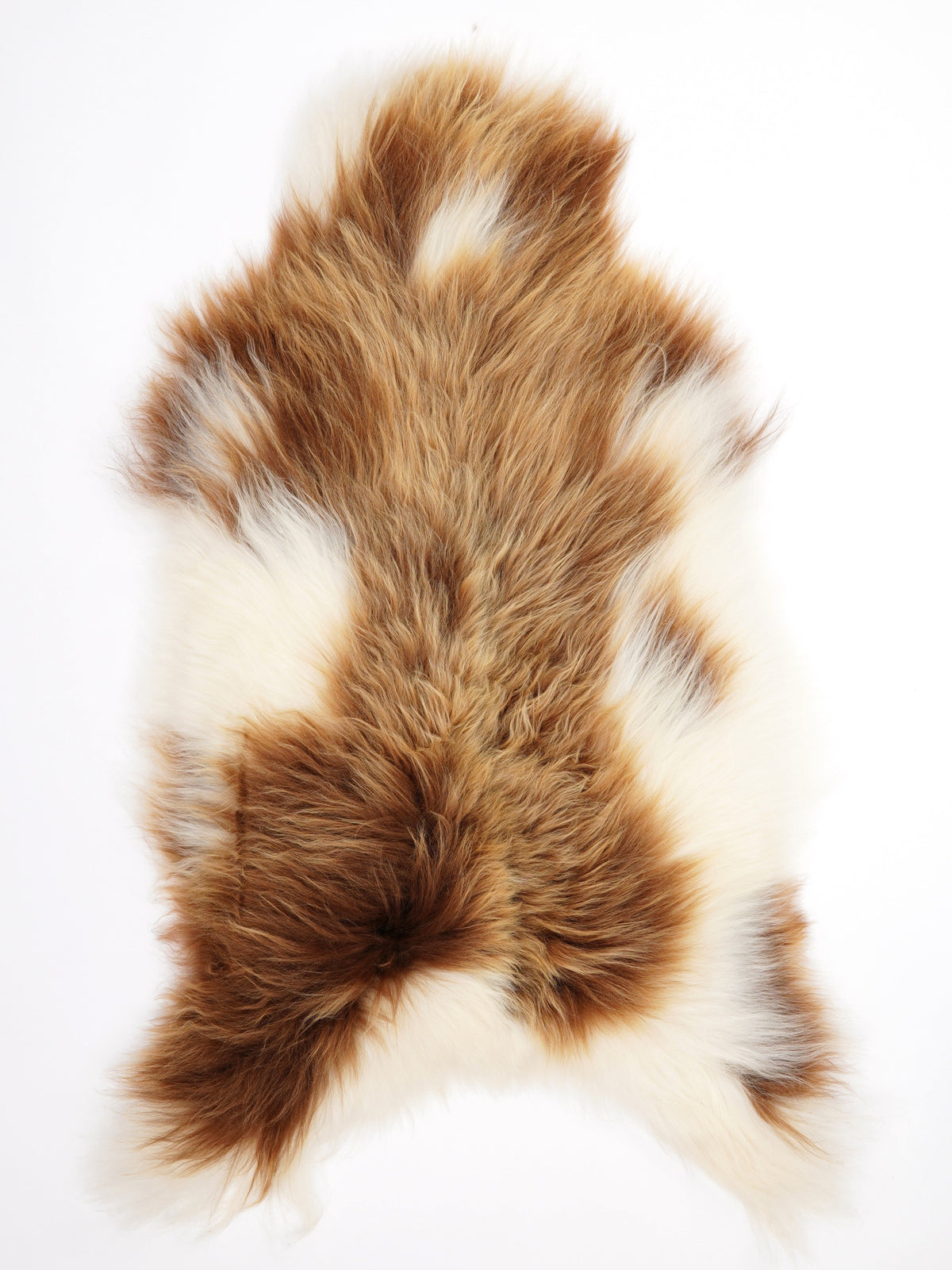 Peau de mouton islandaise XL