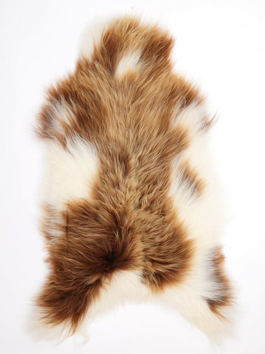 Peau de mouton islandaise XL
