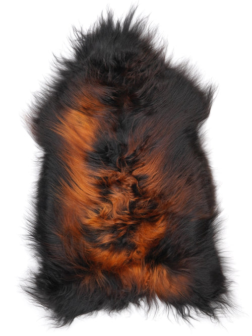 MU00031