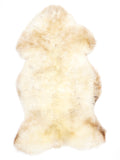 NC00083